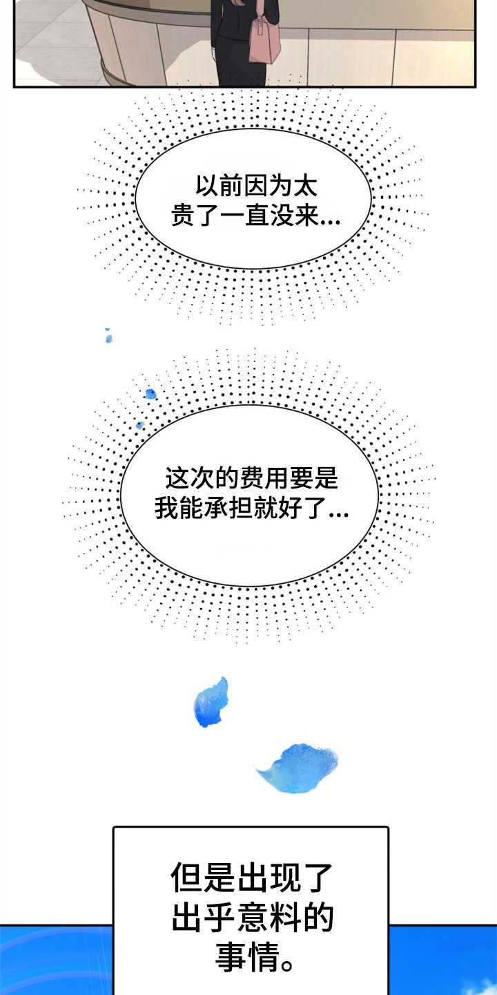 可疑的代表/换面替身