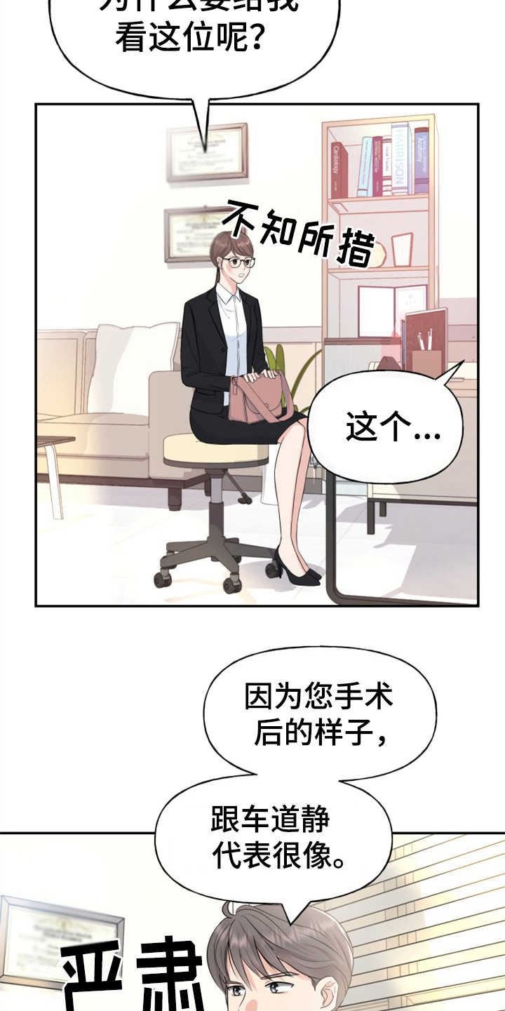 可疑的代表/换面替身