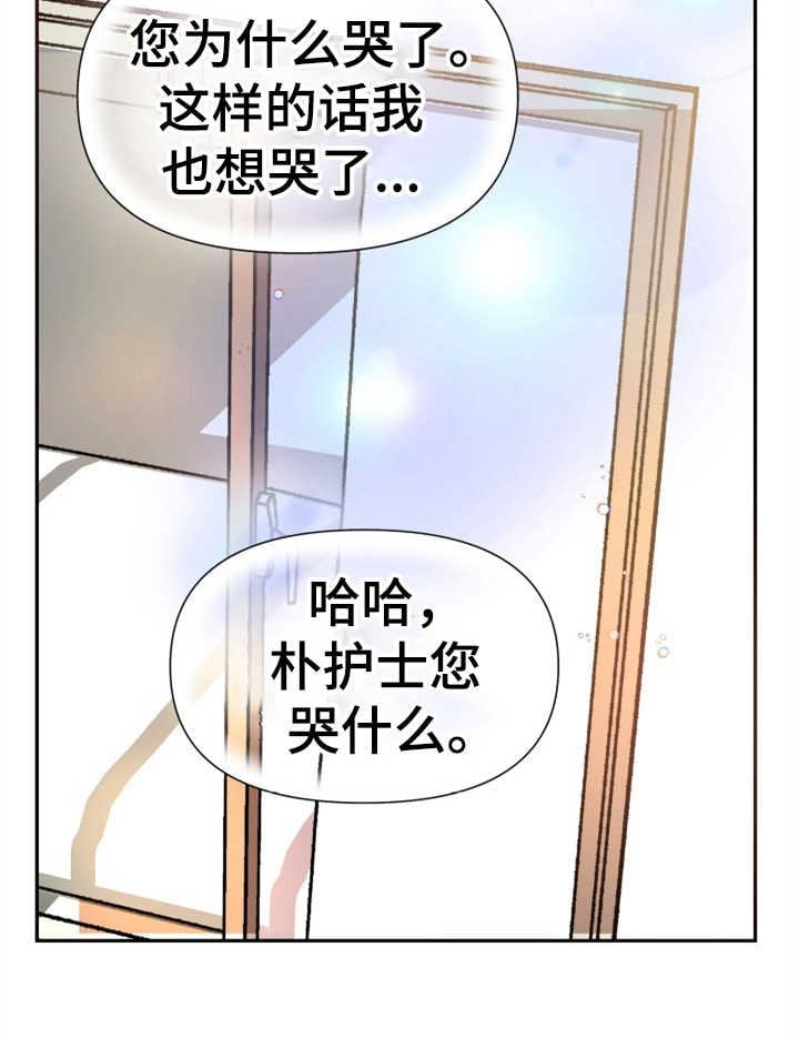 可疑的代表/换面替身