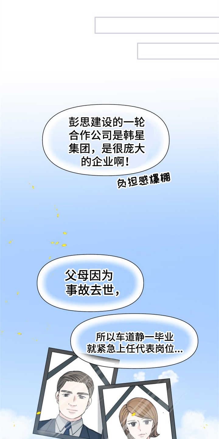 可疑的代表/换面替身