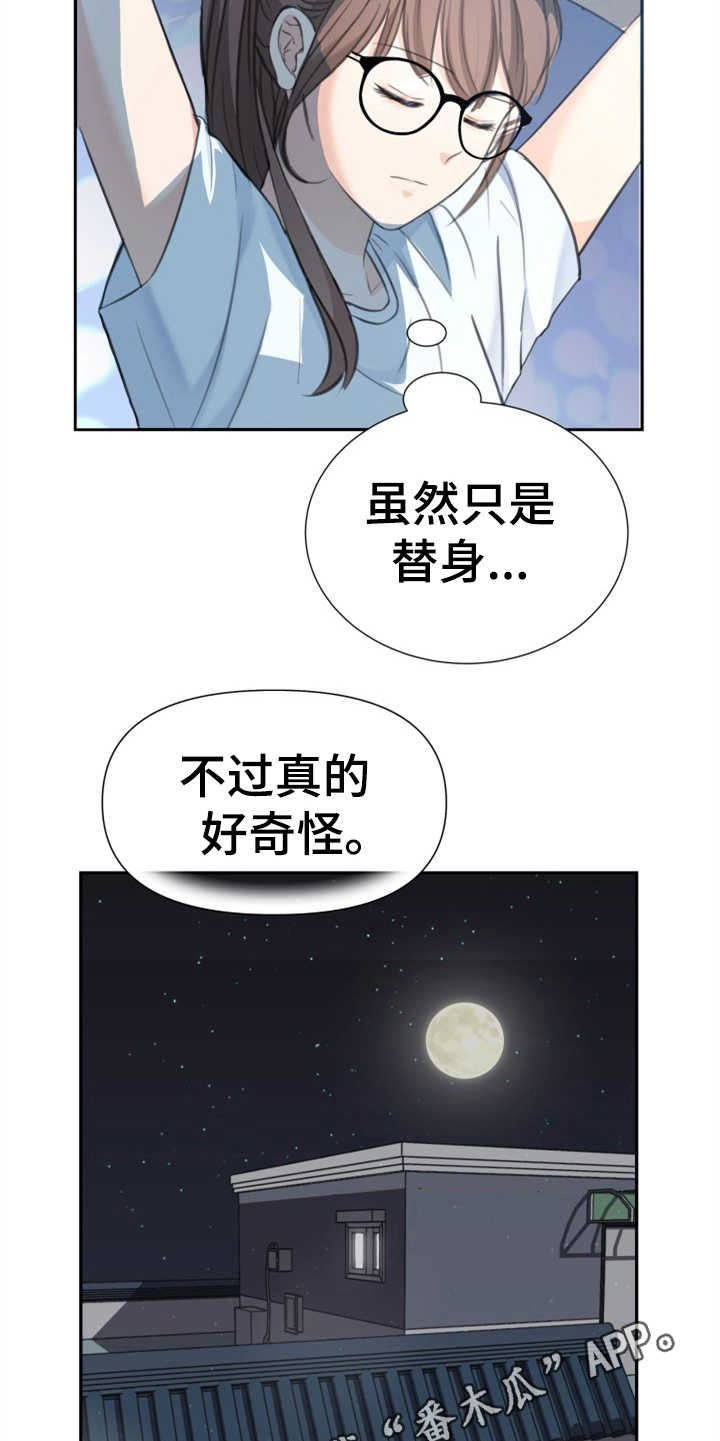 可疑的代表/换面替身