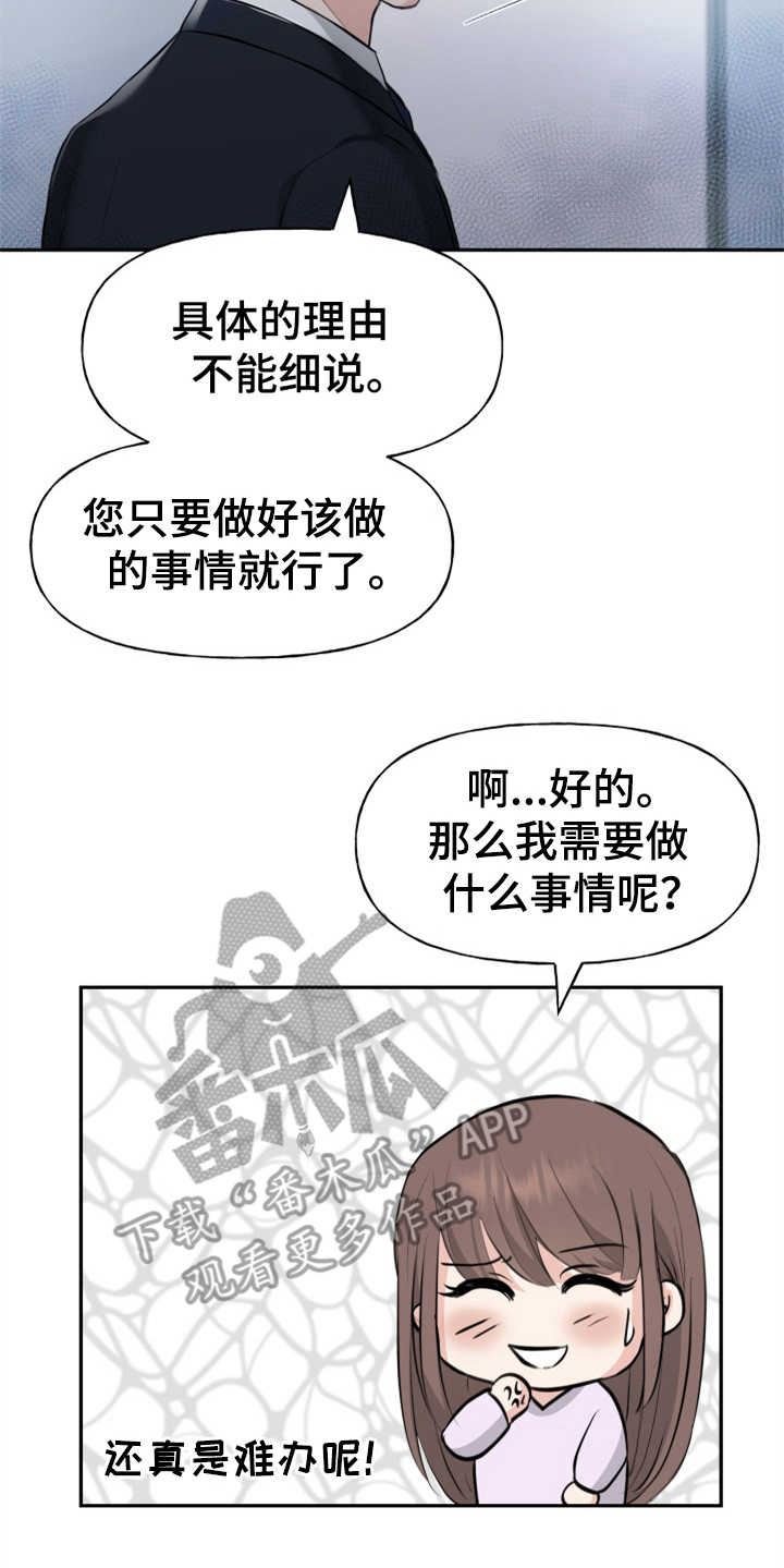 可疑的代表/换面替身