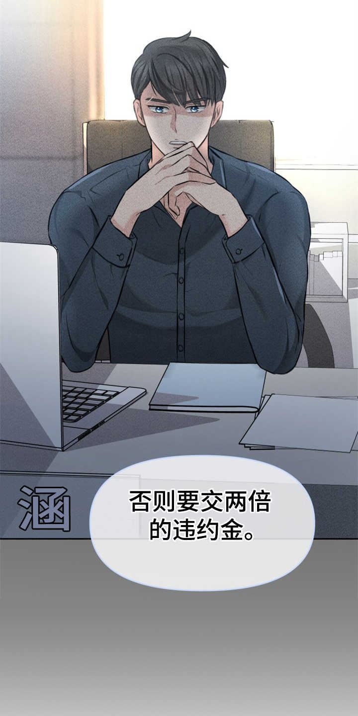 可疑的代表/换面替身