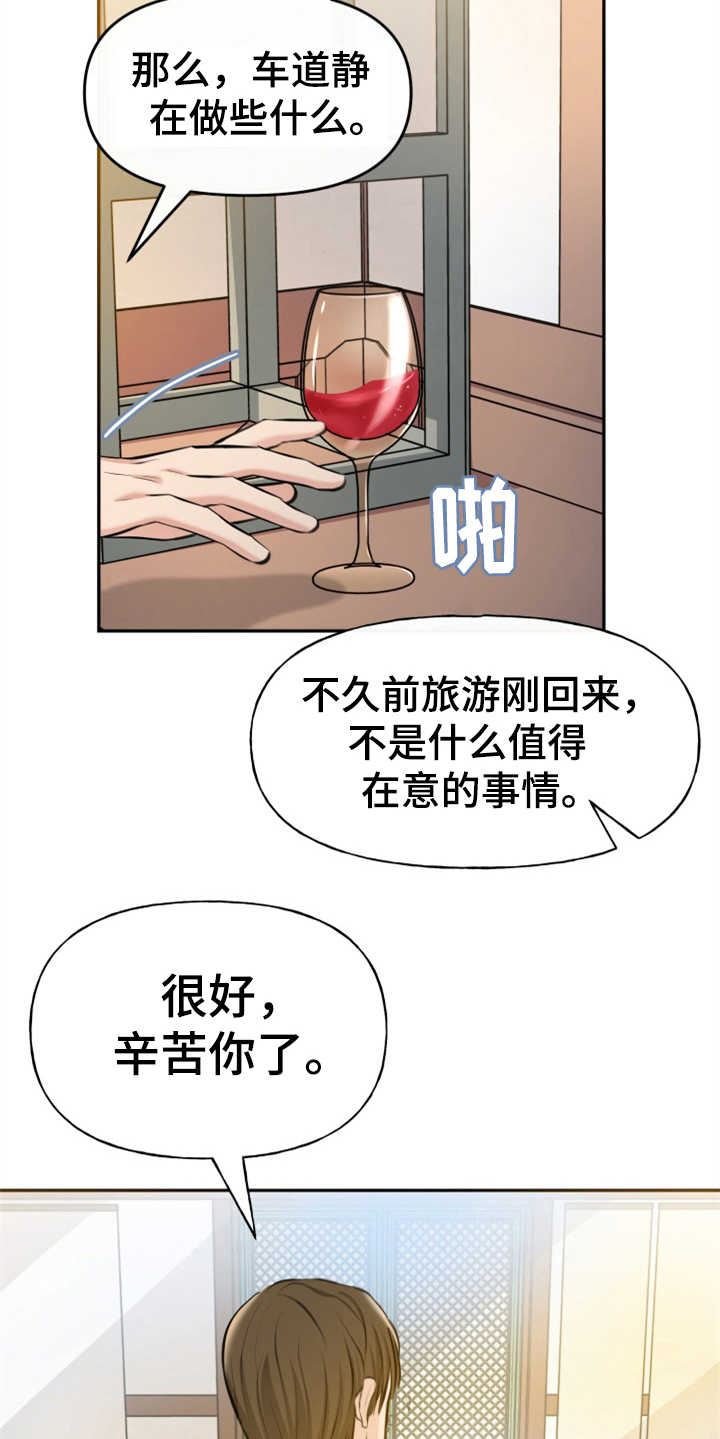 可疑的代表/换面替身