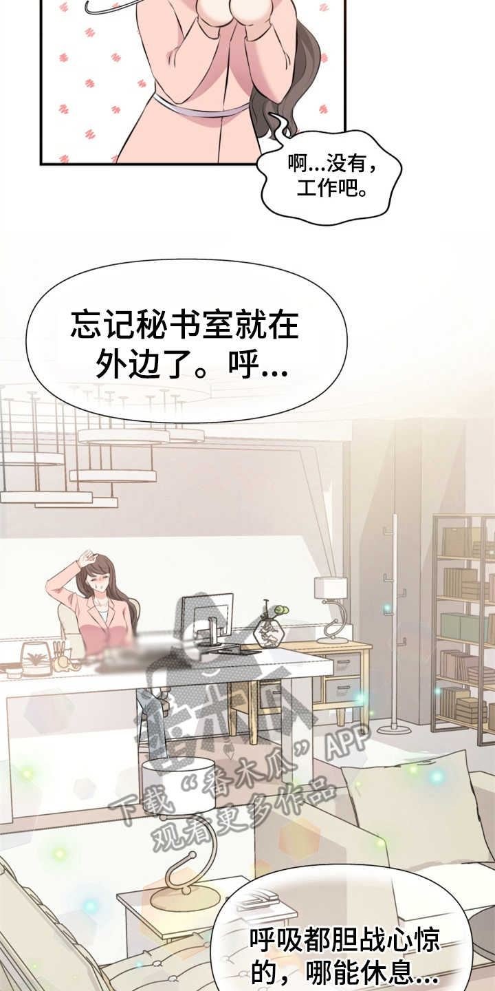 可疑的代表/换面替身