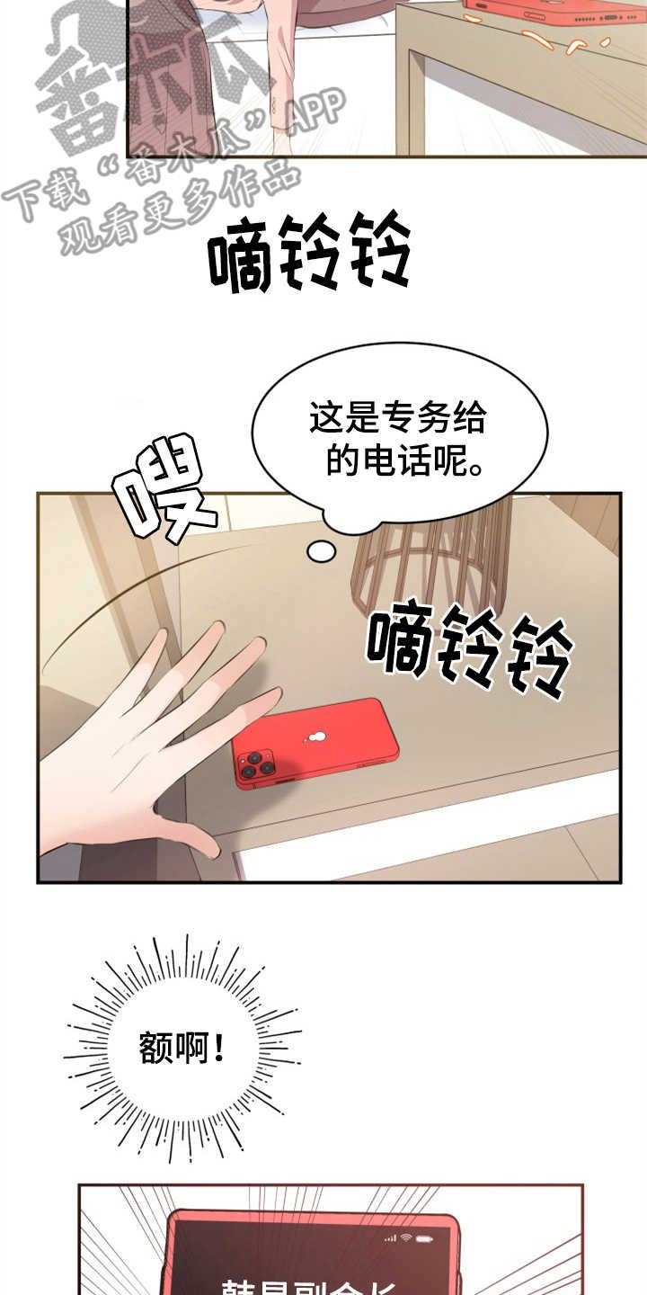 可疑的代表/换面替身