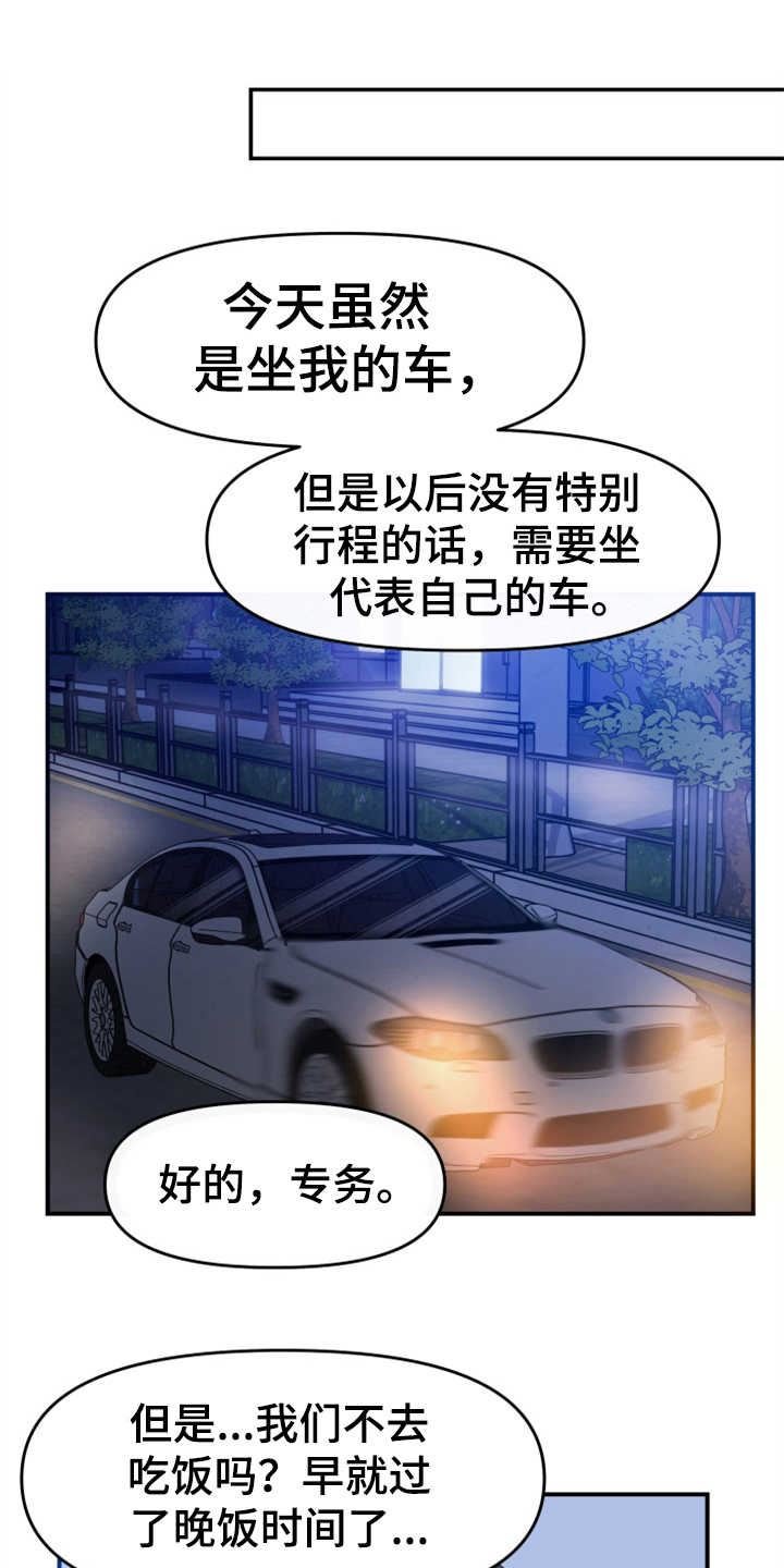 可疑的代表/换面替身