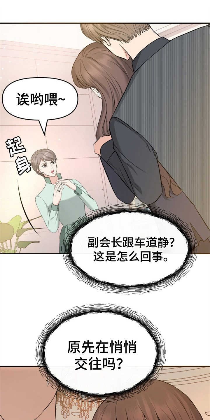 可疑的代表/换面替身